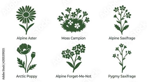 Foto Collection of stylized floral botanical illustrations