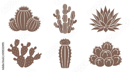 Fotografie Desert plant collection graphic