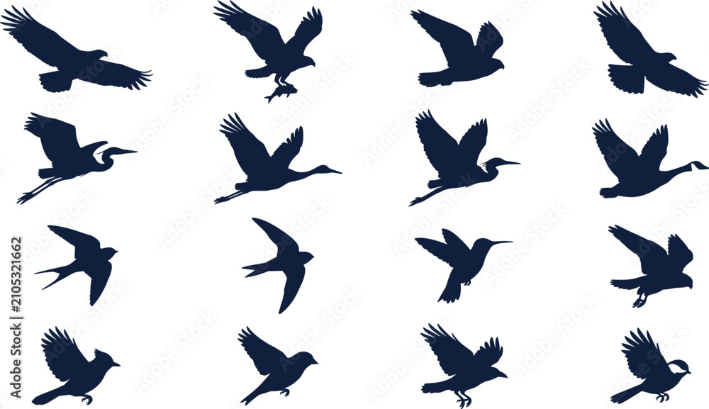 Fototapeta premium Flying Bird Silhouette Collection with Eagle Heron Goose Swallow Sparrow and Wildlife Avian Flight Poses Vector Illustration Set