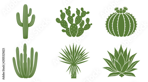Desert plant collection illustration