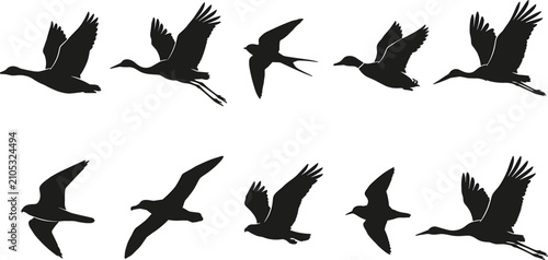 Obraz na płótnie Flying Water Bird Silhouette Collection with Crane Heron Swallow Seagull Goose a