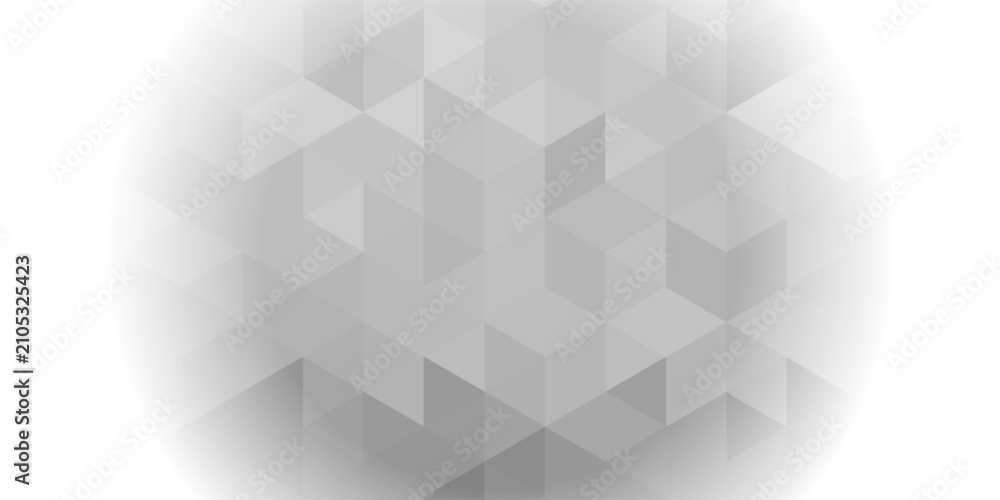 Fototapeta premium Abstract grey low poly geometric background with white vignette edge. Vector illustration of grey triangular pattern backdrop, elegant minimalist crystal diamond texture.