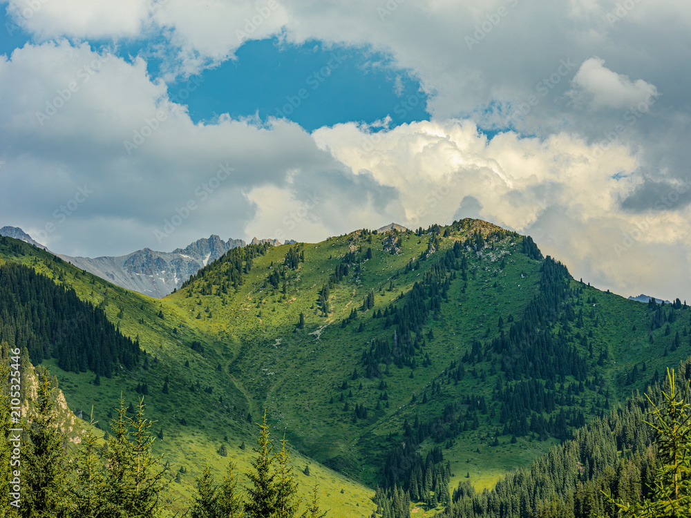 Obraz premium LandscapeKZ, NATURE, mointain, trees, blue, clubs, green, snow,