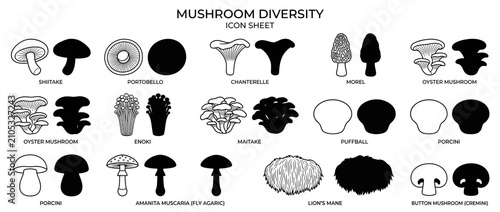Foto Mushroom Diversity Icon Sheet: Edible and Wild Fungi Types