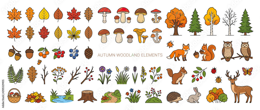 Obraz premium Autumn Woodland Elements Collection