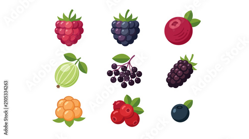 Assorted fresh berries collection