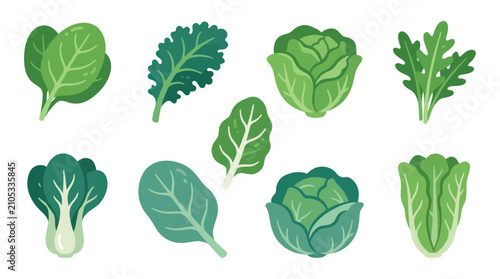 Konstfotografi Assorted fresh leafy greens collection