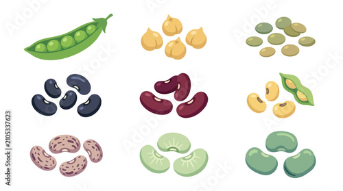 Assorted legumes and pods