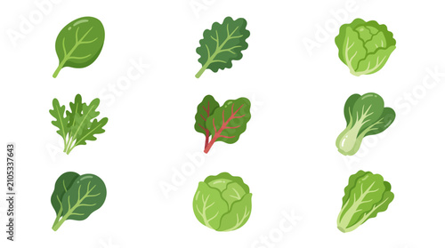Konstfotografi Assorted leafy greens collection