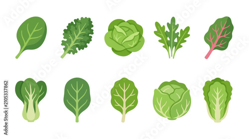 Εκτύπωση καμβά Assorted leafy green vegetable collection