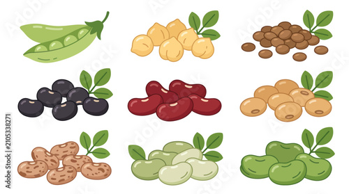 Assorted legumes collection illustration