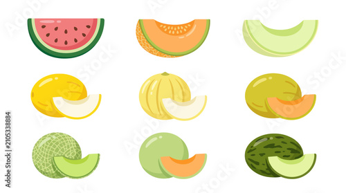 Assorted melon slices and whole fruits