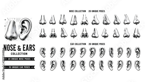 Quadro su tela Vintage anatomical nose and ear collection, 40 unique poses in hand-drawn engrav