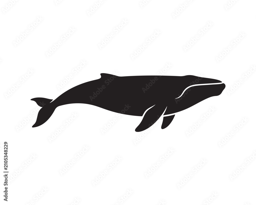 Obraz premium Black and white Minimalist fish silhouette icon isolated on white background, simple vector illustration of a marine animal for graphic design