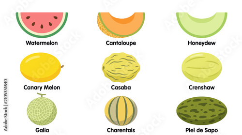 Obraz na płótnie Assorted melon varieties and slices