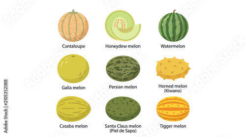 Obraz na płótnie Assorted melons variety collection