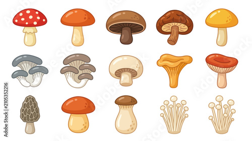 Schilderij op canvas Assorted mushroom collection illustration