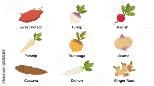 Foto Assorted root vegetables collection