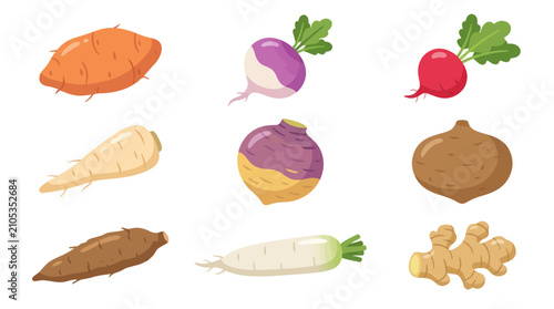 Foto Assorted root vegetables collection