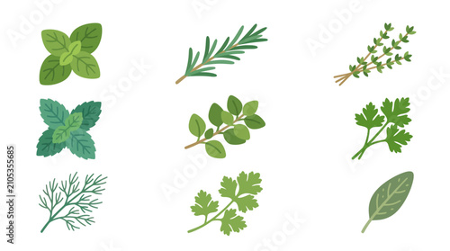 Assortment of fresh herb sprigs