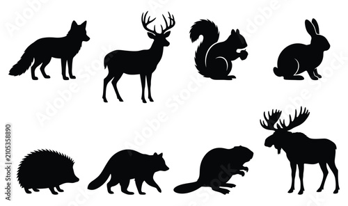 Photography Woodland animals vector icons set with black silhouettes of deer fox squirrel mo