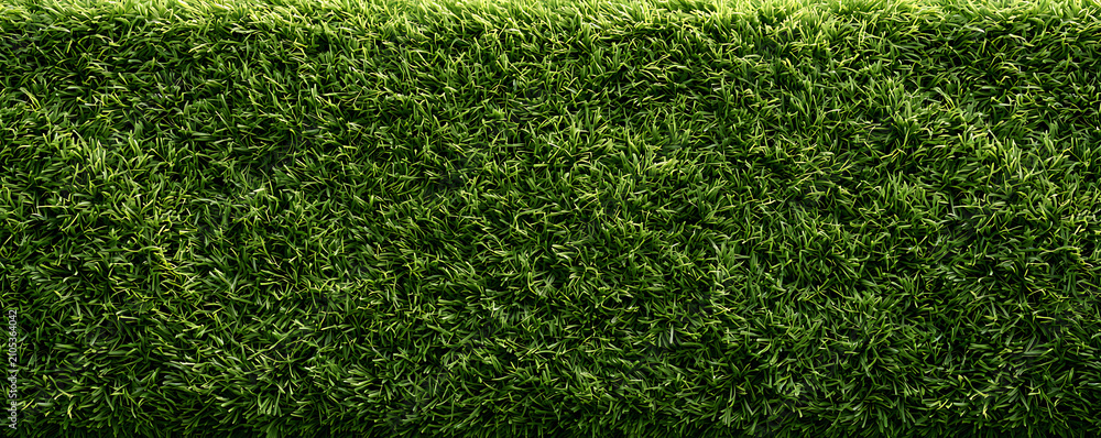 Obraz premium Panoramic texture of lush green hedge and grass background