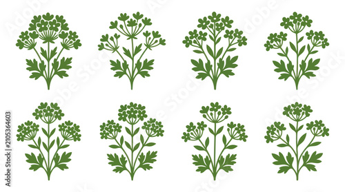 Foto Green botanical floral design elements