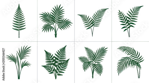 Canvastavla Green leaf plant collection isolated