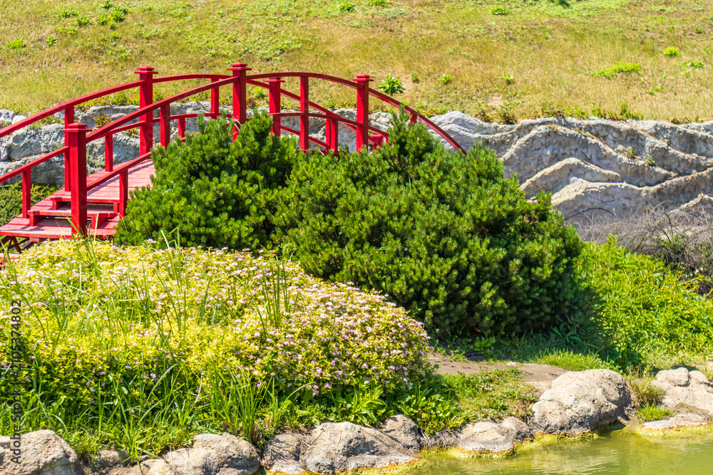Obraz premium Red Japanese bridge over pond in landscaped garden on sunny summer day