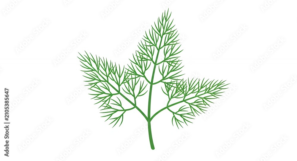 Fototapeta premium Fresh Green Dill Sprig Herb Illustration Isolated on White Background for Cooking and Healthy Food Design
