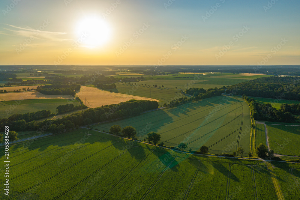 Obraz premium Aerial top view on green crop field. Nature environment. Green harvest in field. Summer green field. Agricultural aerial landscape. Green crop agricultural farm landscape. Harvesting and cultivation