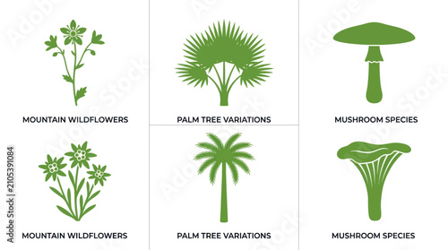 Photos Set of botanical and fungal illustrations