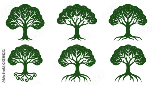 Bild auf Leinwand Set of stylized green trees with roots
