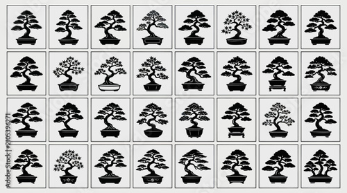 Obraz na płótnie Collection of decorative potted trees