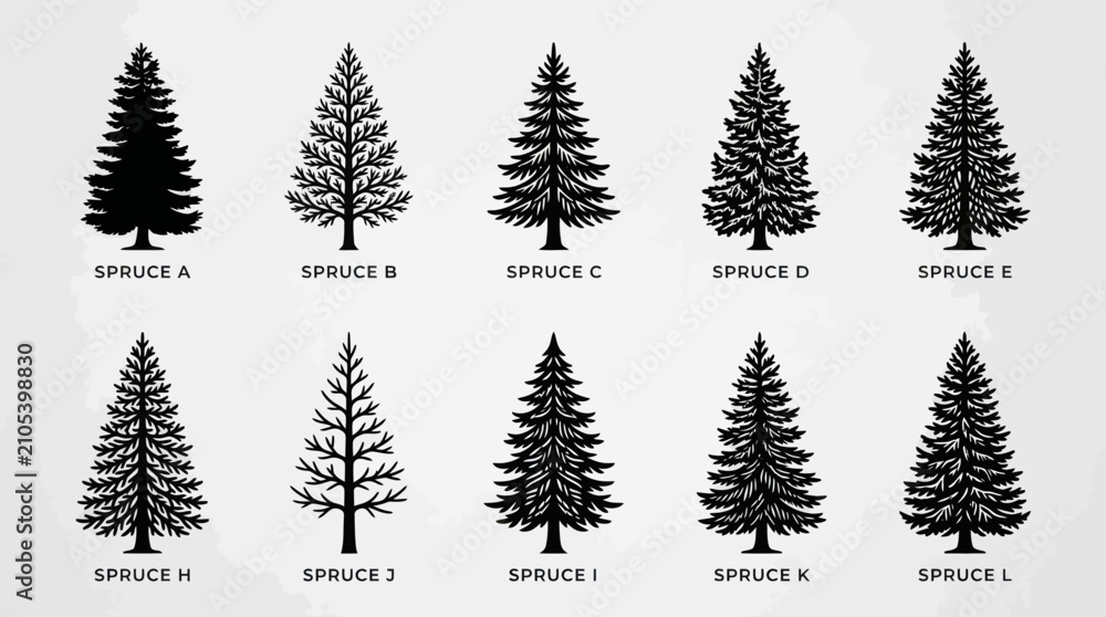 Fototapeta premium Collection of evergreen tree silhouettes