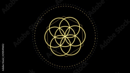 Animated Sacred Geometry Flower of Life and Hexagon Structure Loop Background