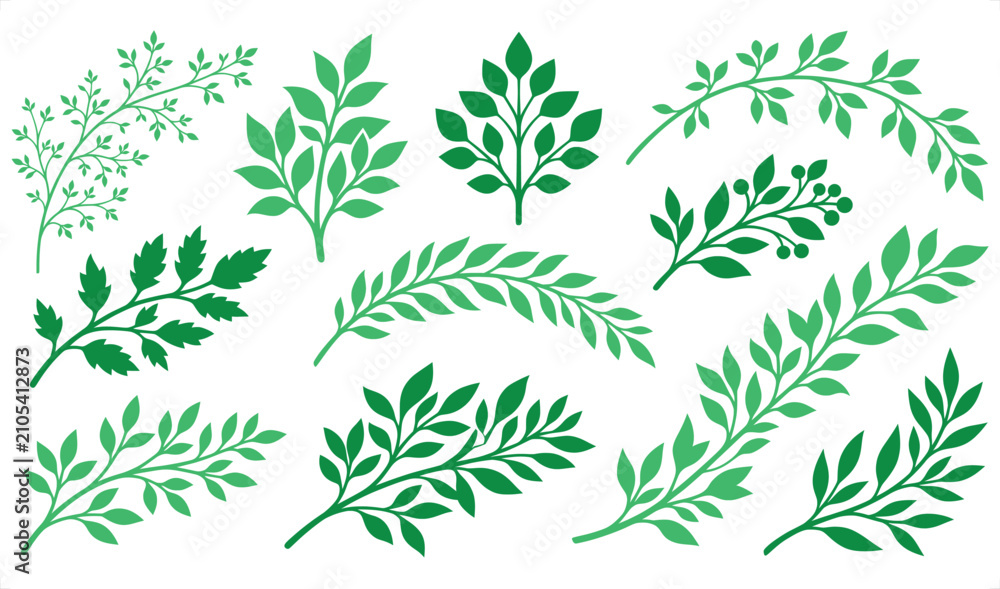 Fototapeta premium Green Leafy Branches Collection Isolated On White Background Vector Illustration Nature Elements Design
