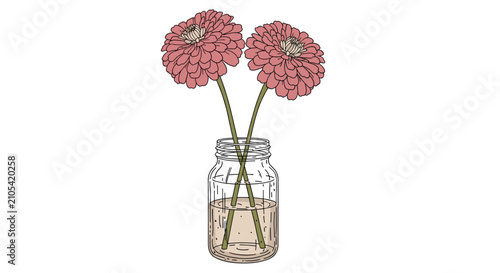 Two beautiful pink zinnia flowers with long green stems placed in a transparent glass jar partially filled with water.