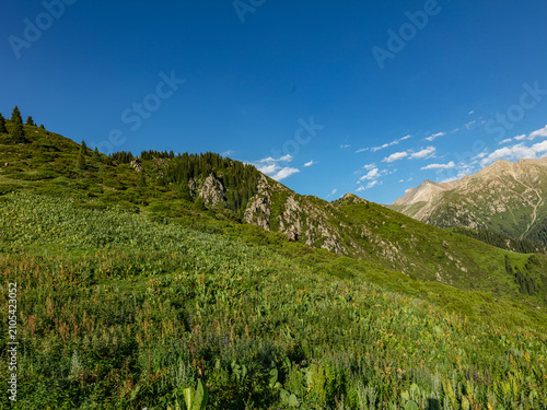 mountain landscape with blue sky and clouds