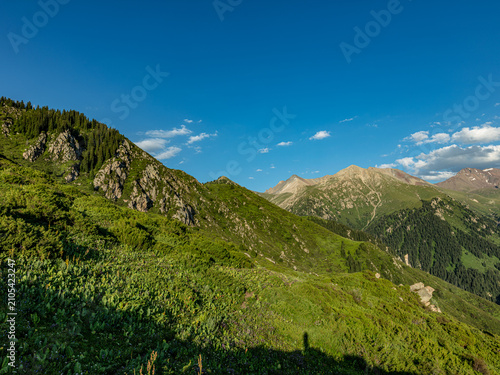 mountain landscape in the summer