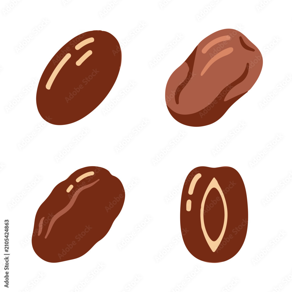Fototapeta premium Dried Dates Collection Healthy Sweet Fruit Illustration