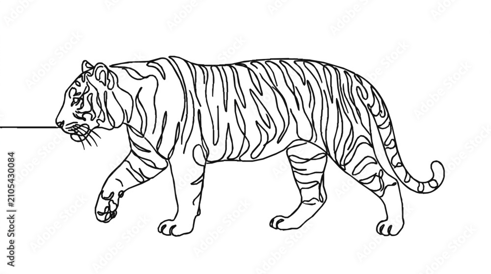 Fototapeta premium Continuous line drawing featuring a prowling tiger minimalist vector art illustration design element with white background minimalist