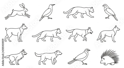 Animal line drawing collection featuring diverse wild species