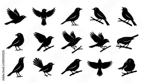 Cuadro en lienzo Elegant Tia Bird Black Silhouette Vector Set with Flying and Perching Bird Poses