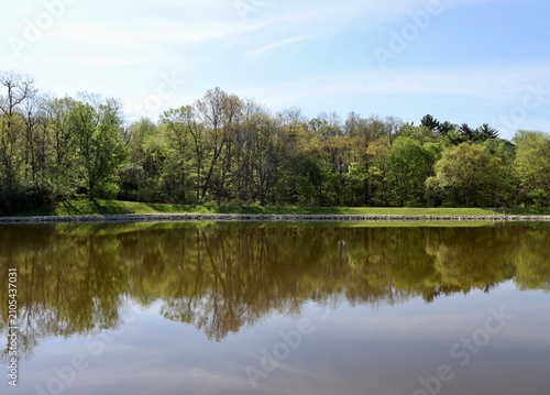 The peaceful lake in the countryside on a sunny day.
