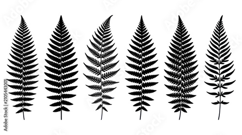 Canvastavla Fern leaf silhouettes collection