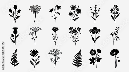 Floral botanical silhouette collection