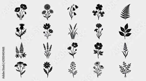 Floral element collection silhouettes