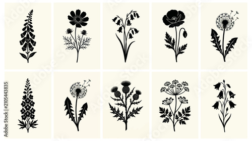Floral silhouettes collection