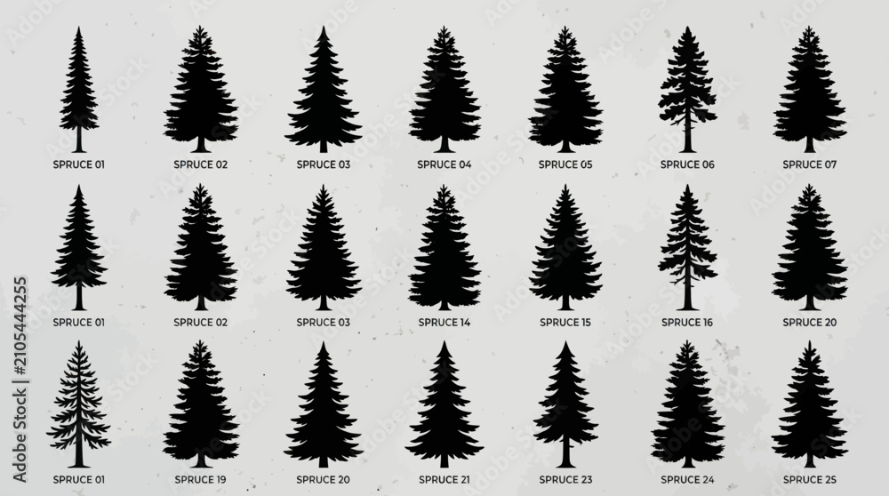 Fototapeta premium Forest tree silhouettes set